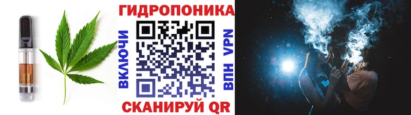 купить закладку  Закаменск  Canna-Cookies конопля 